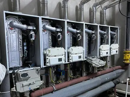  Ordu Vaillant Servis 